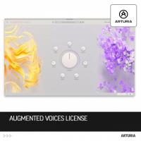 Augmented Voices License