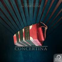 Acc2 - Concertina