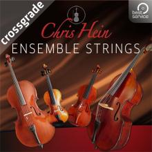 CH Ensemble Strings Cross